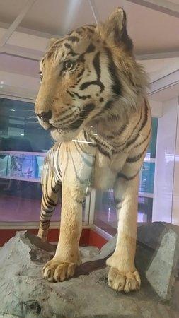 Museo Deapartamental de Ciencias Naturales